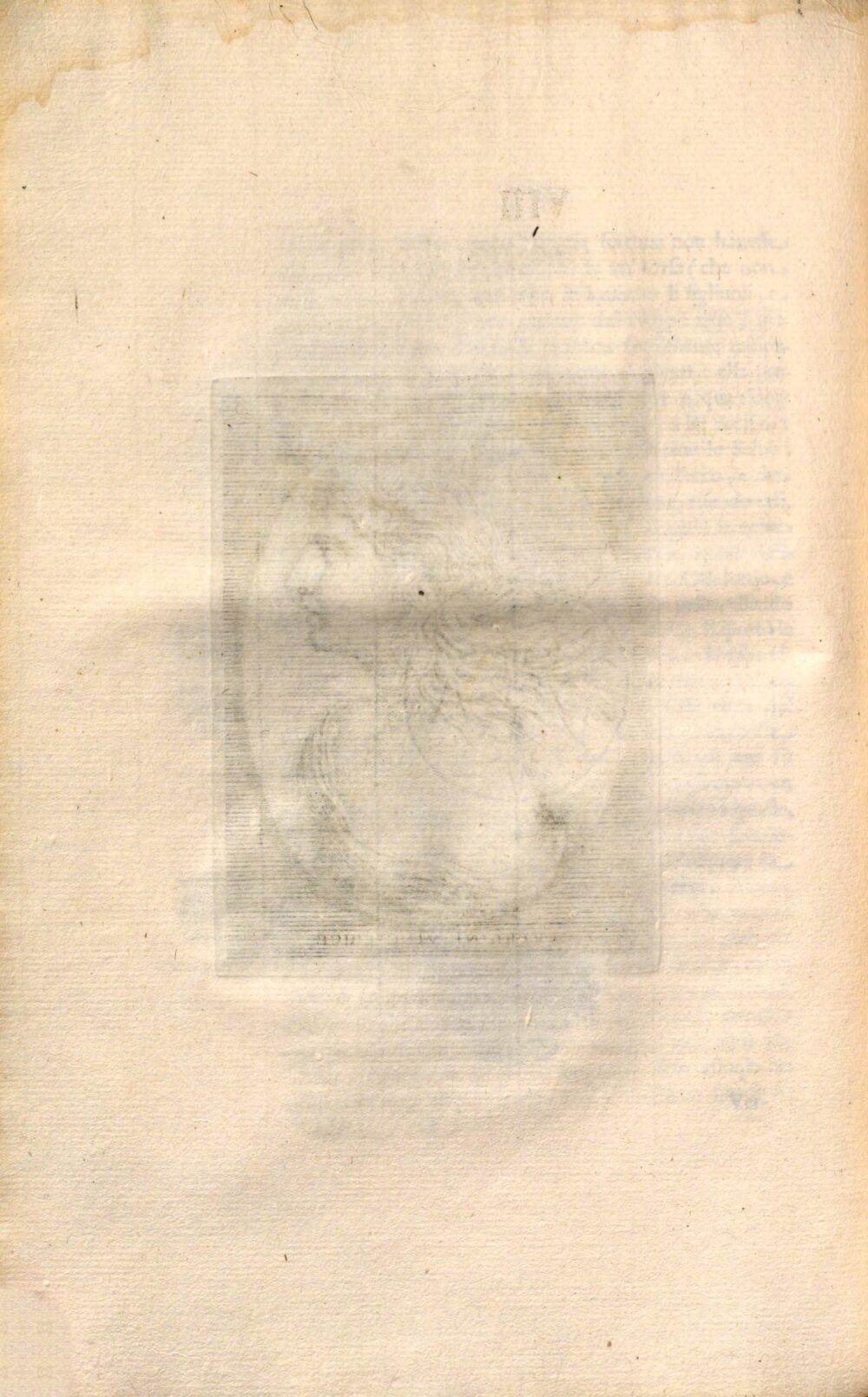 Image 00050