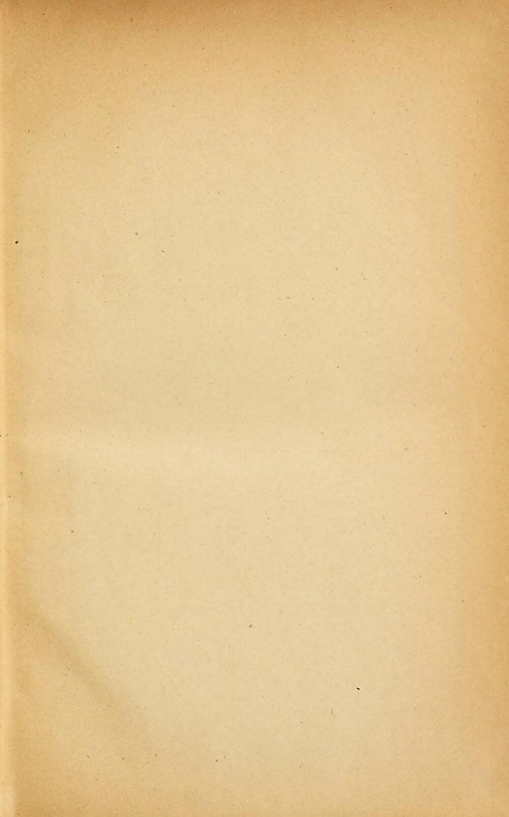 Image 00003