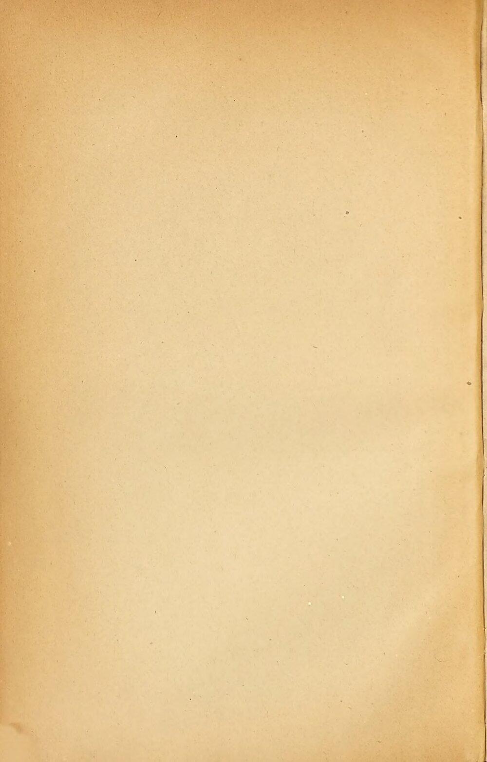 Image 00004