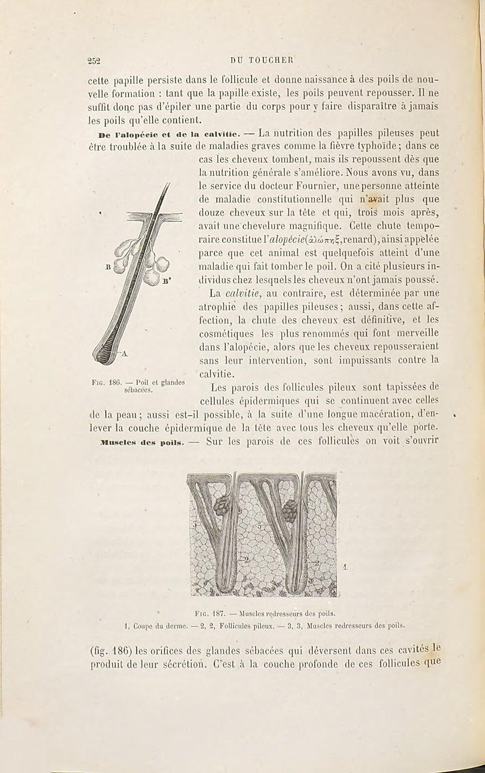 Image 00264