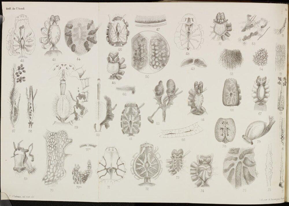Image 00366