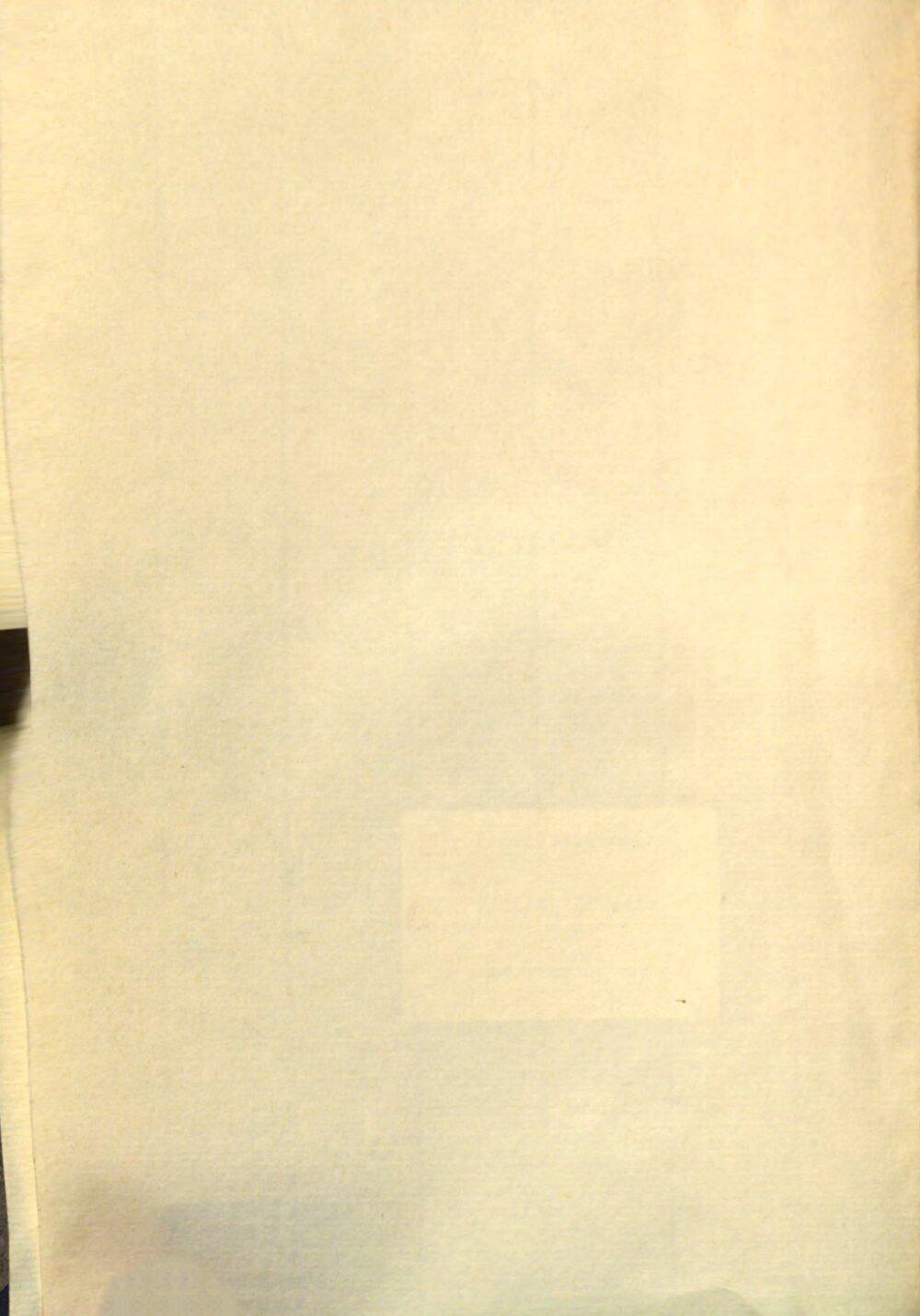 Image 00004