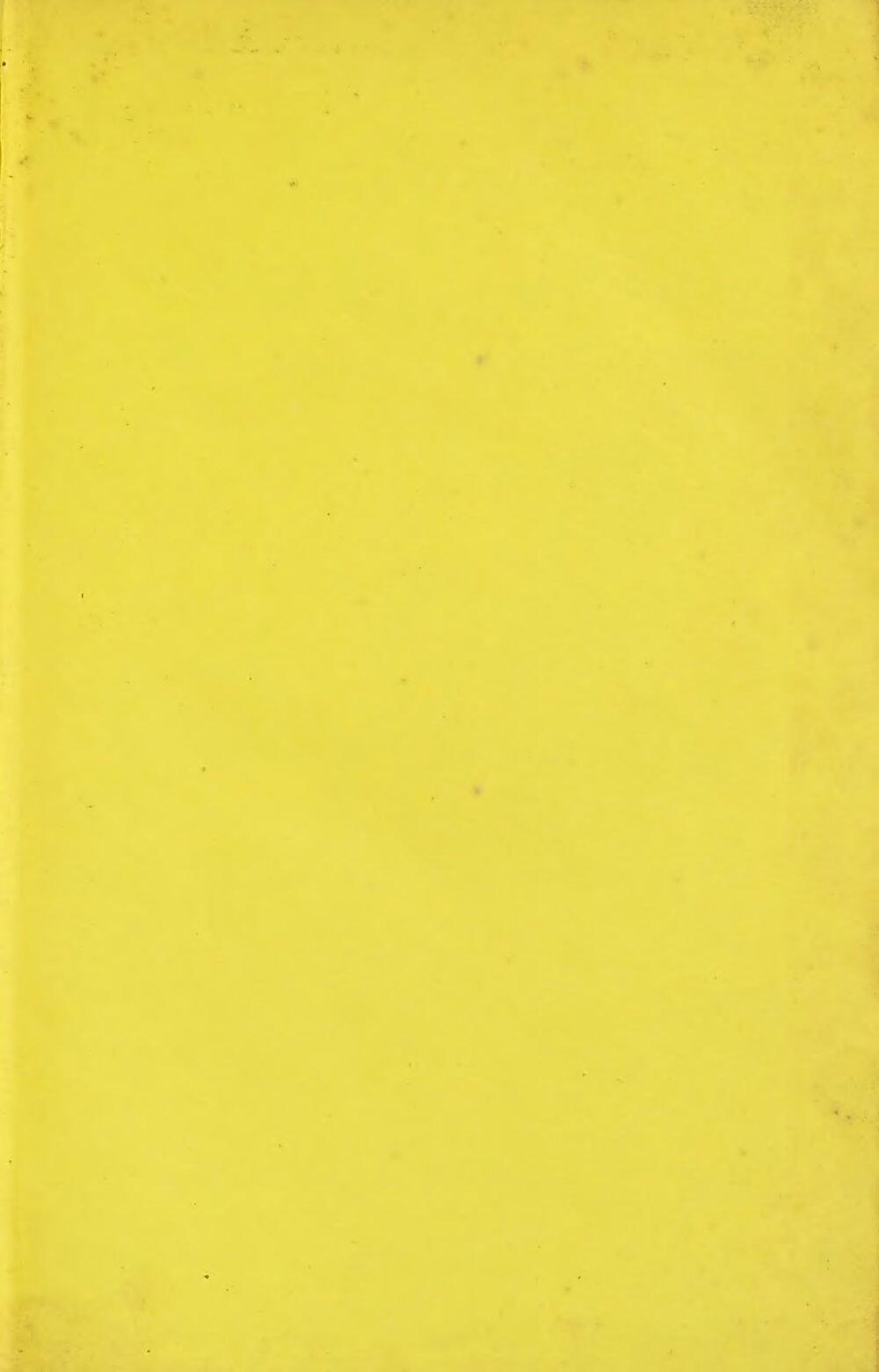 Image 00003