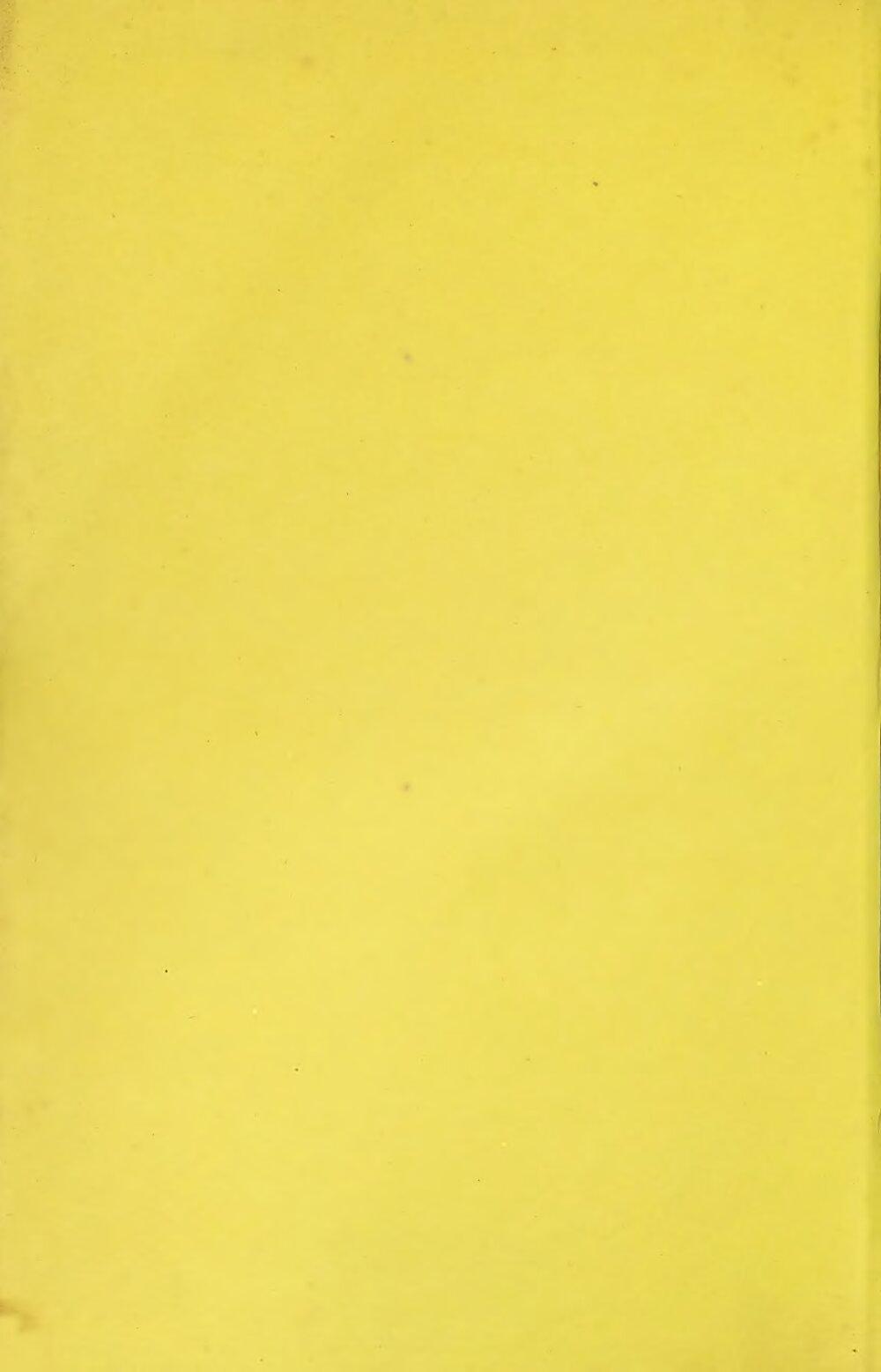 Image 00004