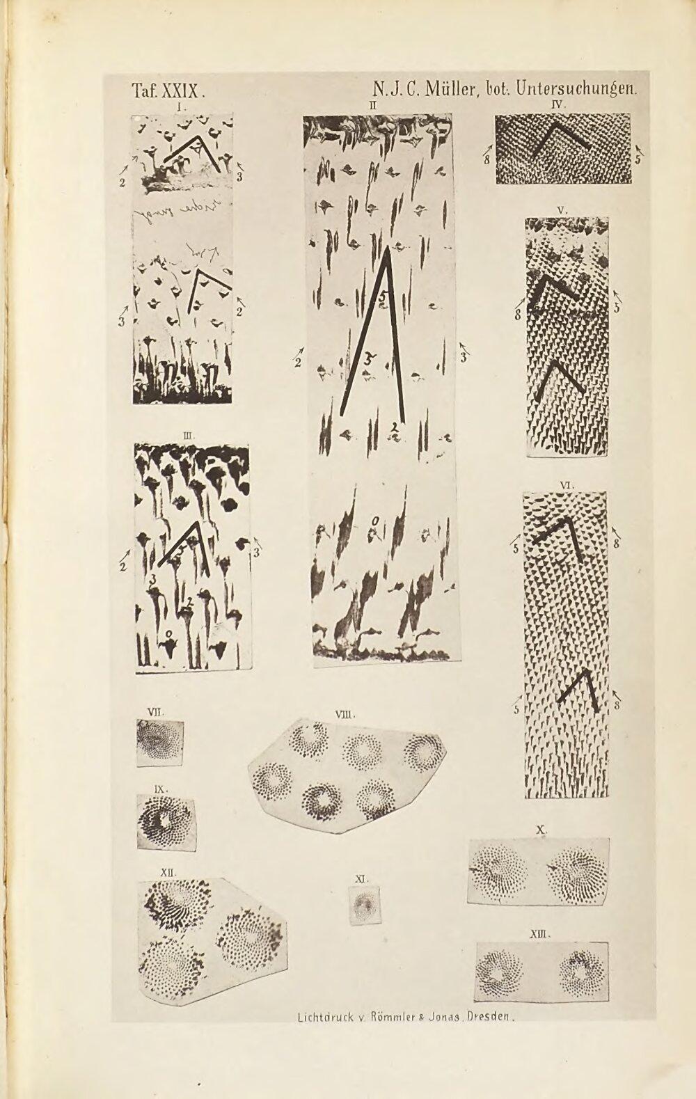Image 00715