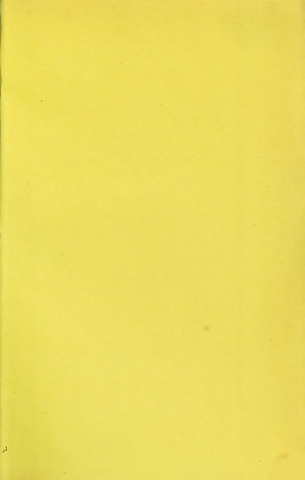 Image 00719