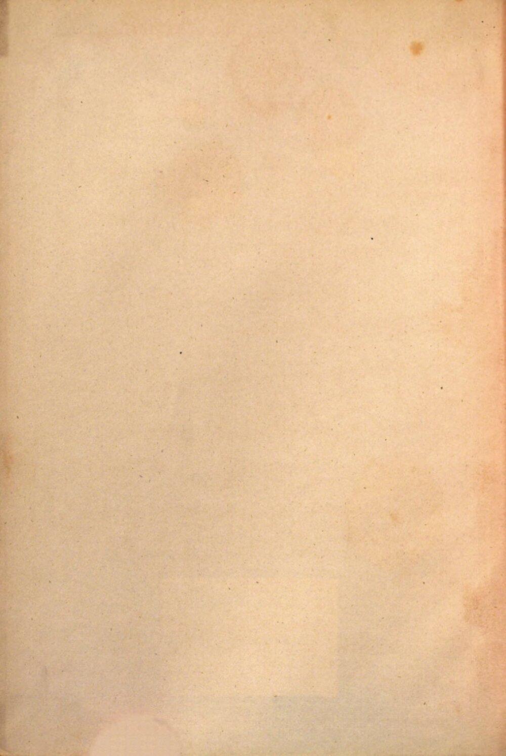 Image 00004
