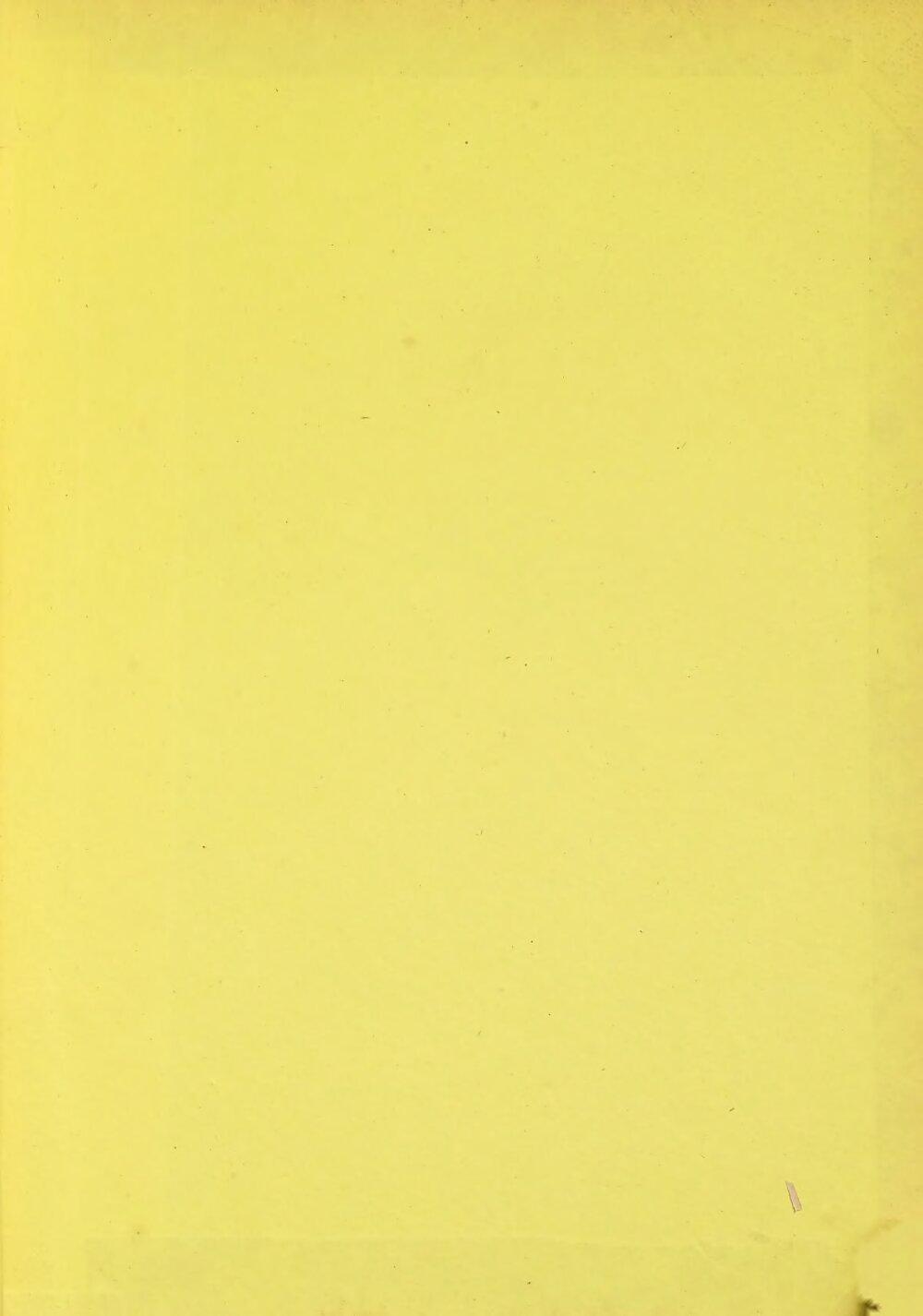 Image 00795