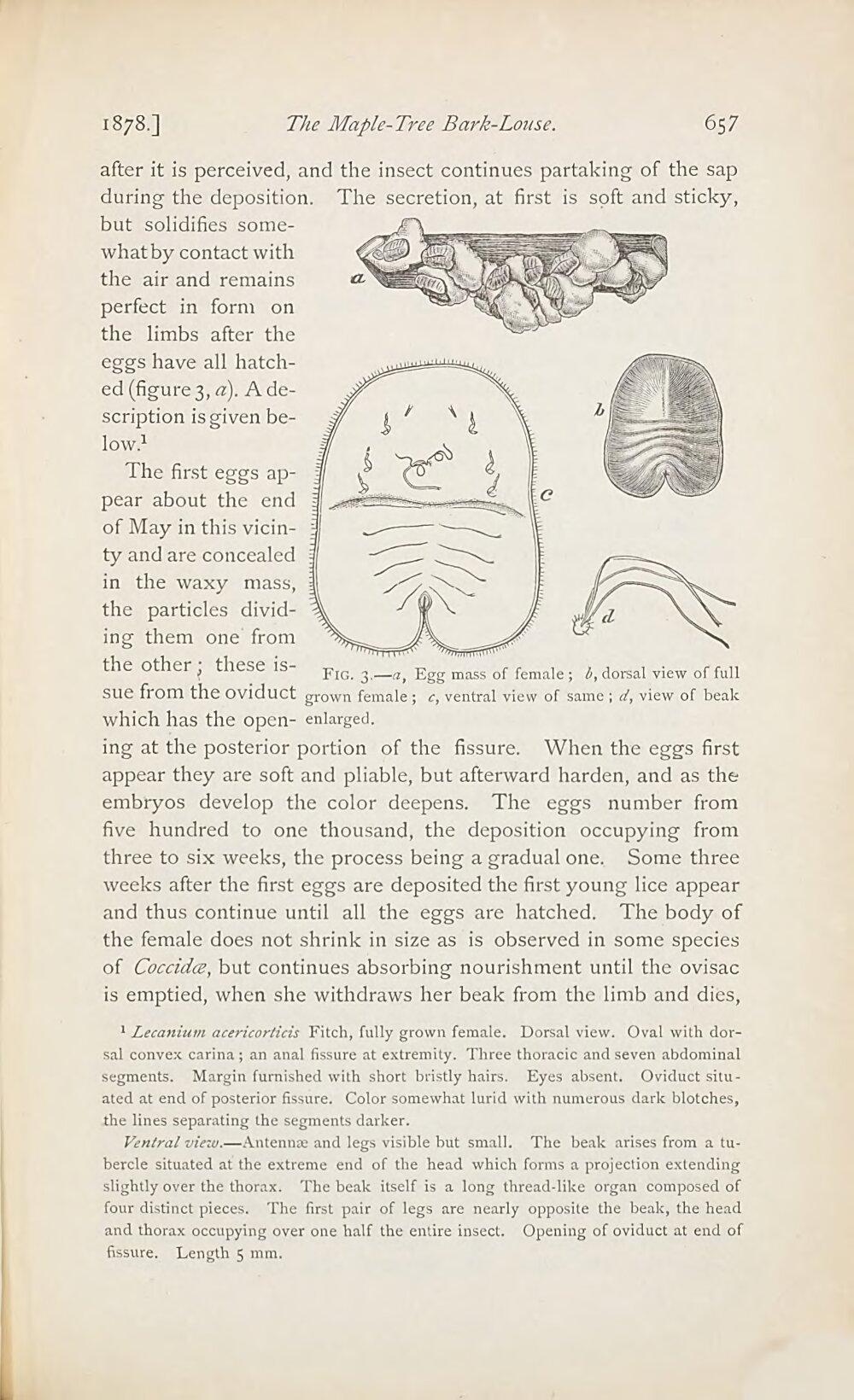 Image 00677