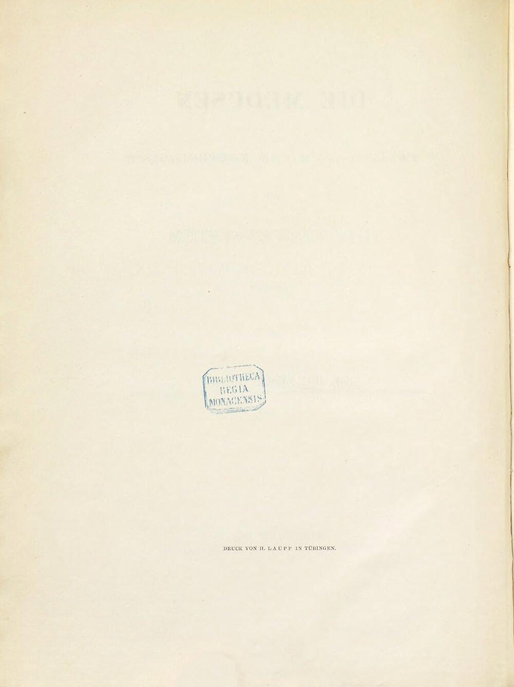 Image 00006