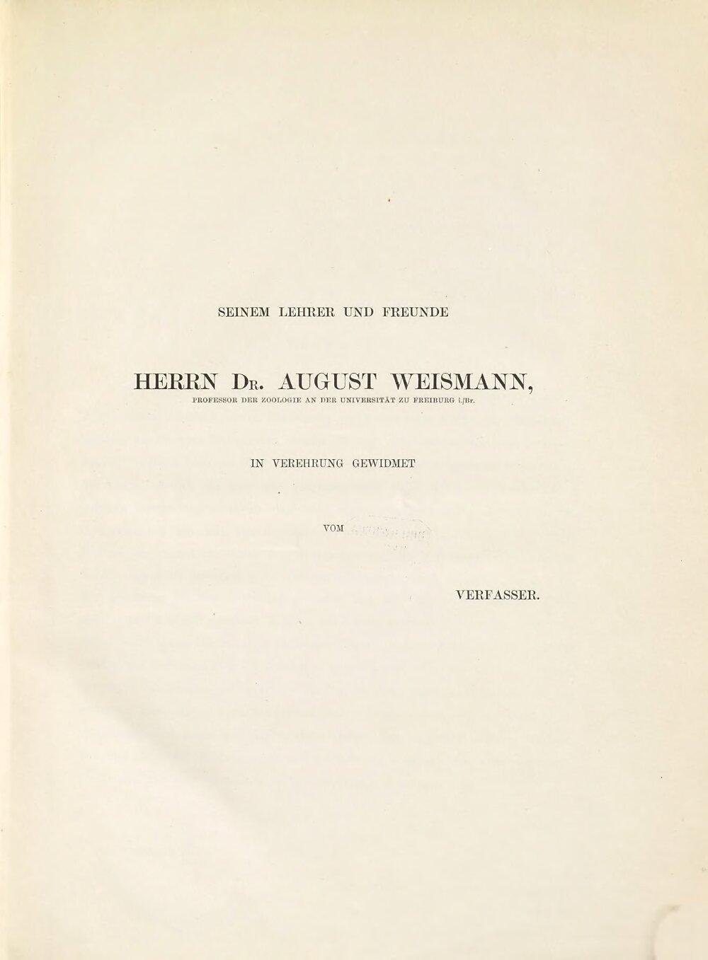 Image 00007