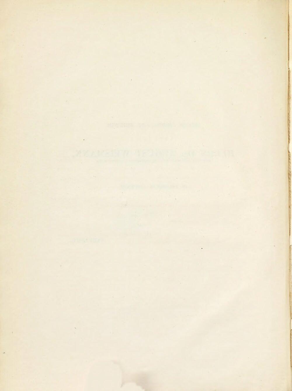 Image 00008