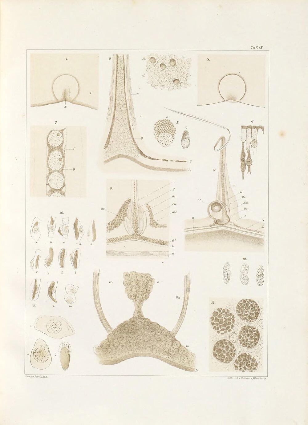 Image 00325