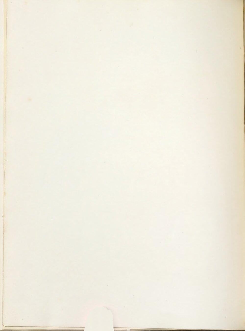 Image 00326