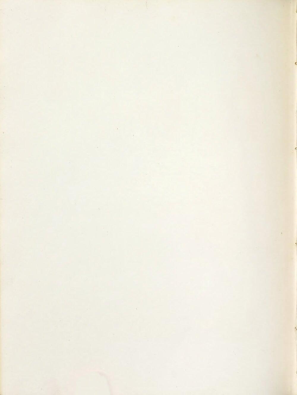 Image 00330
