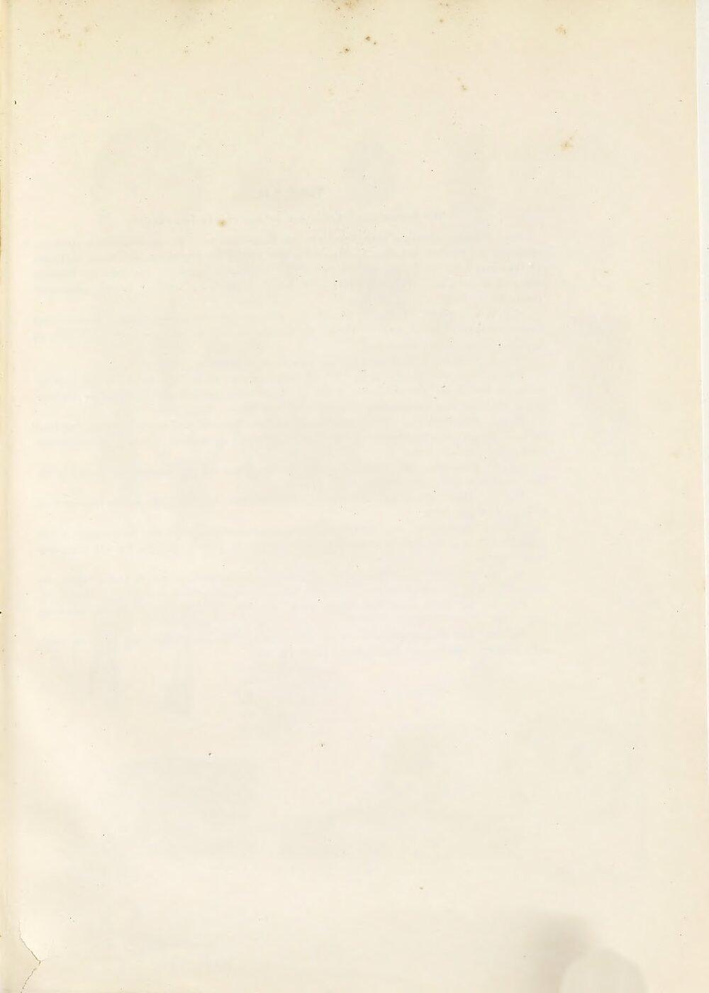 Image 00335