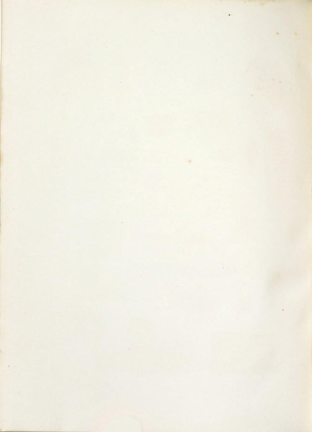 Image 00338