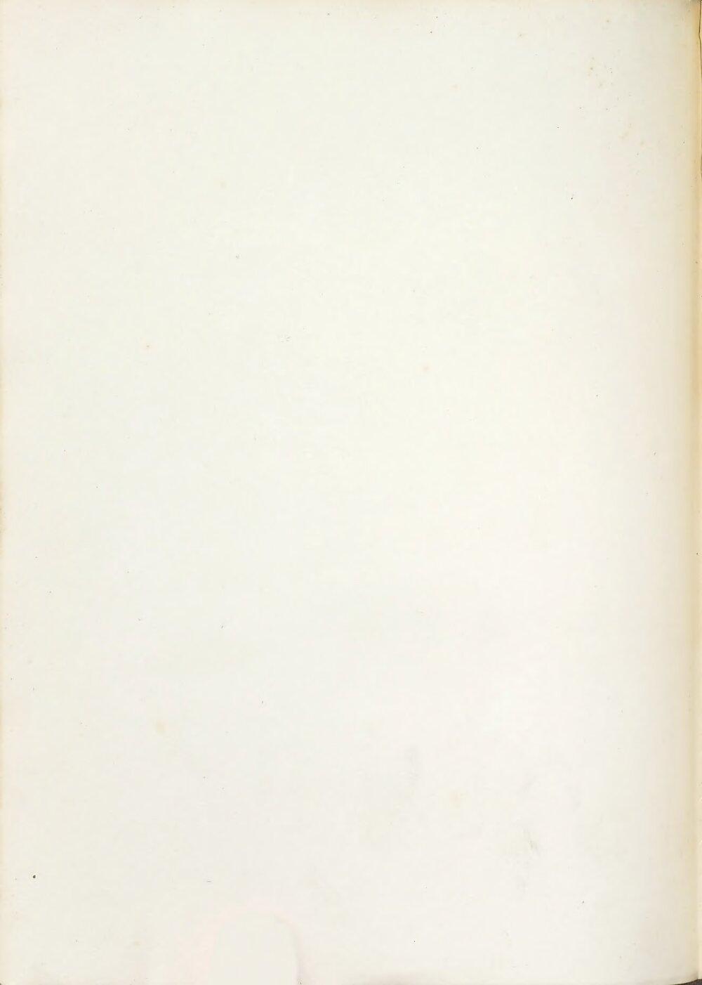 Image 00342