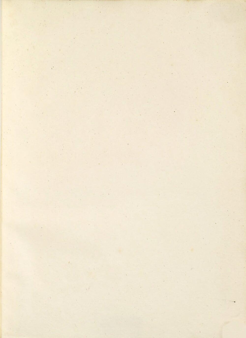Image 00343