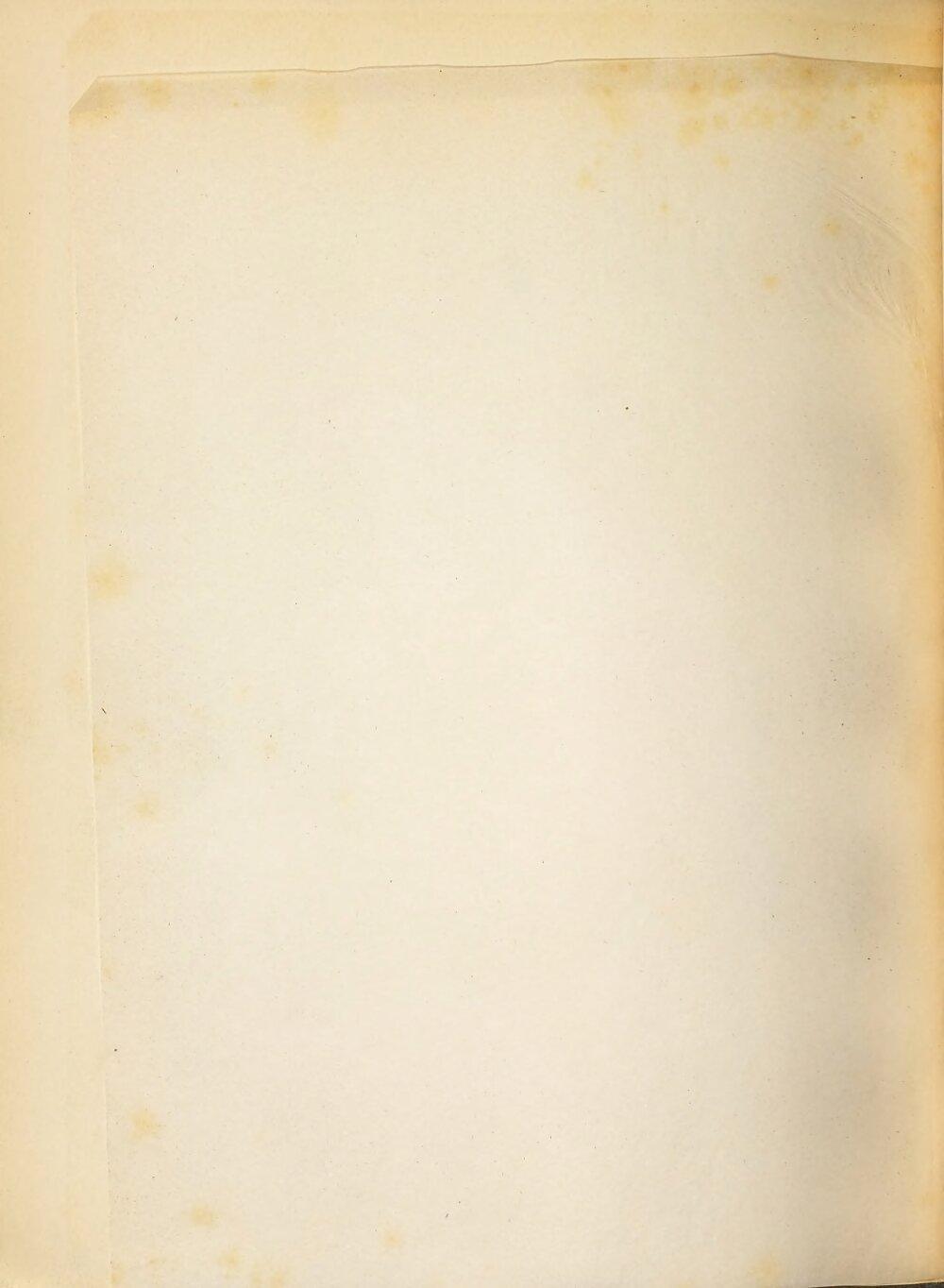 Image 00154