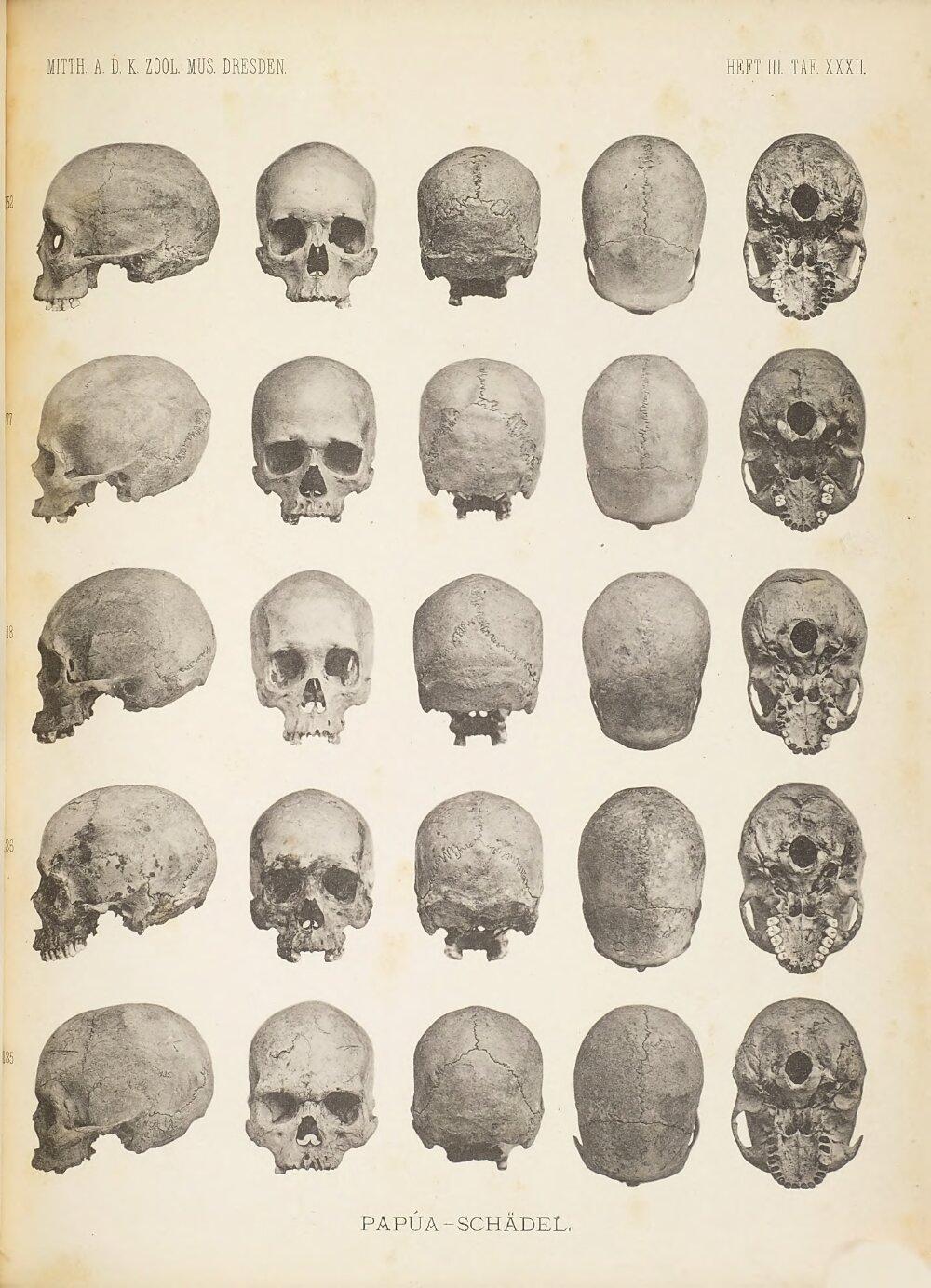 Image 00157