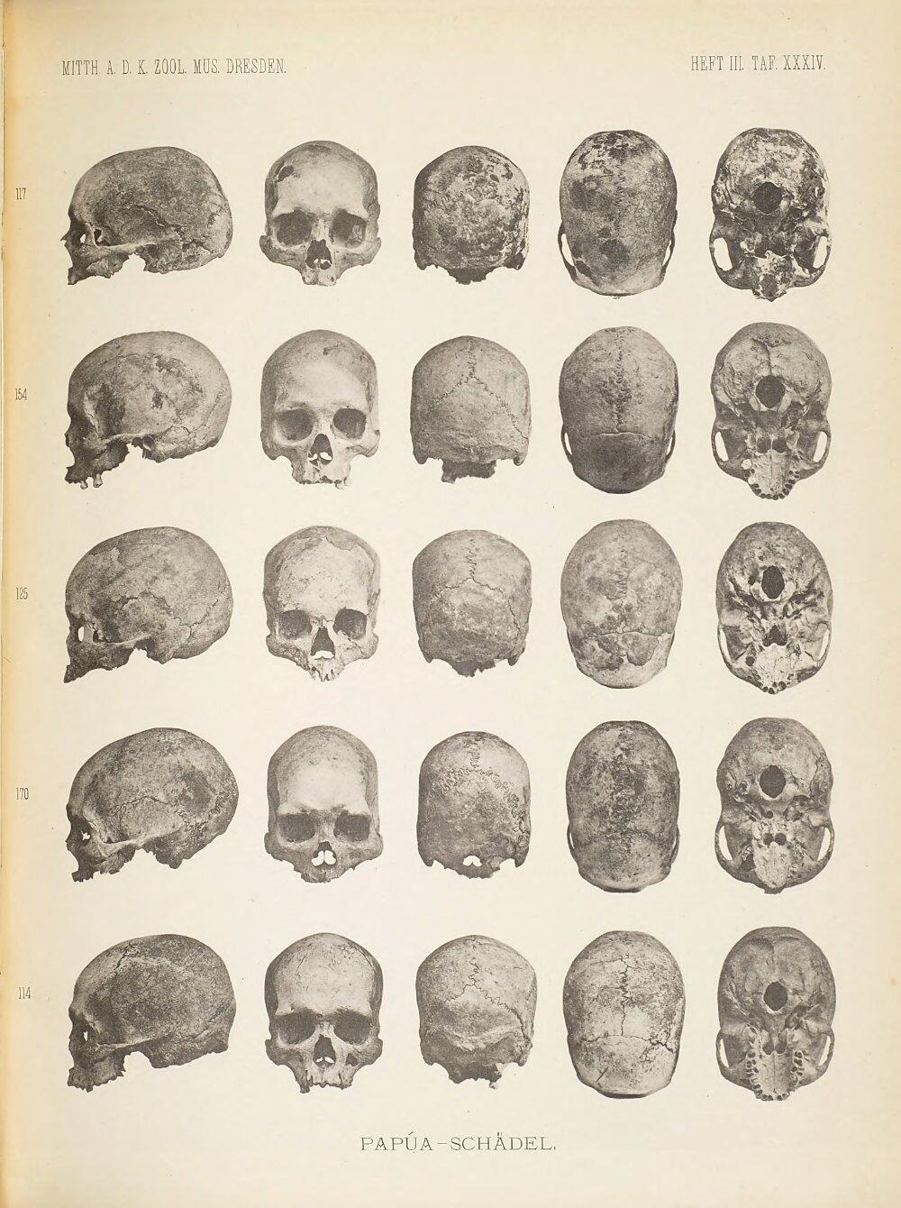 Image 00161