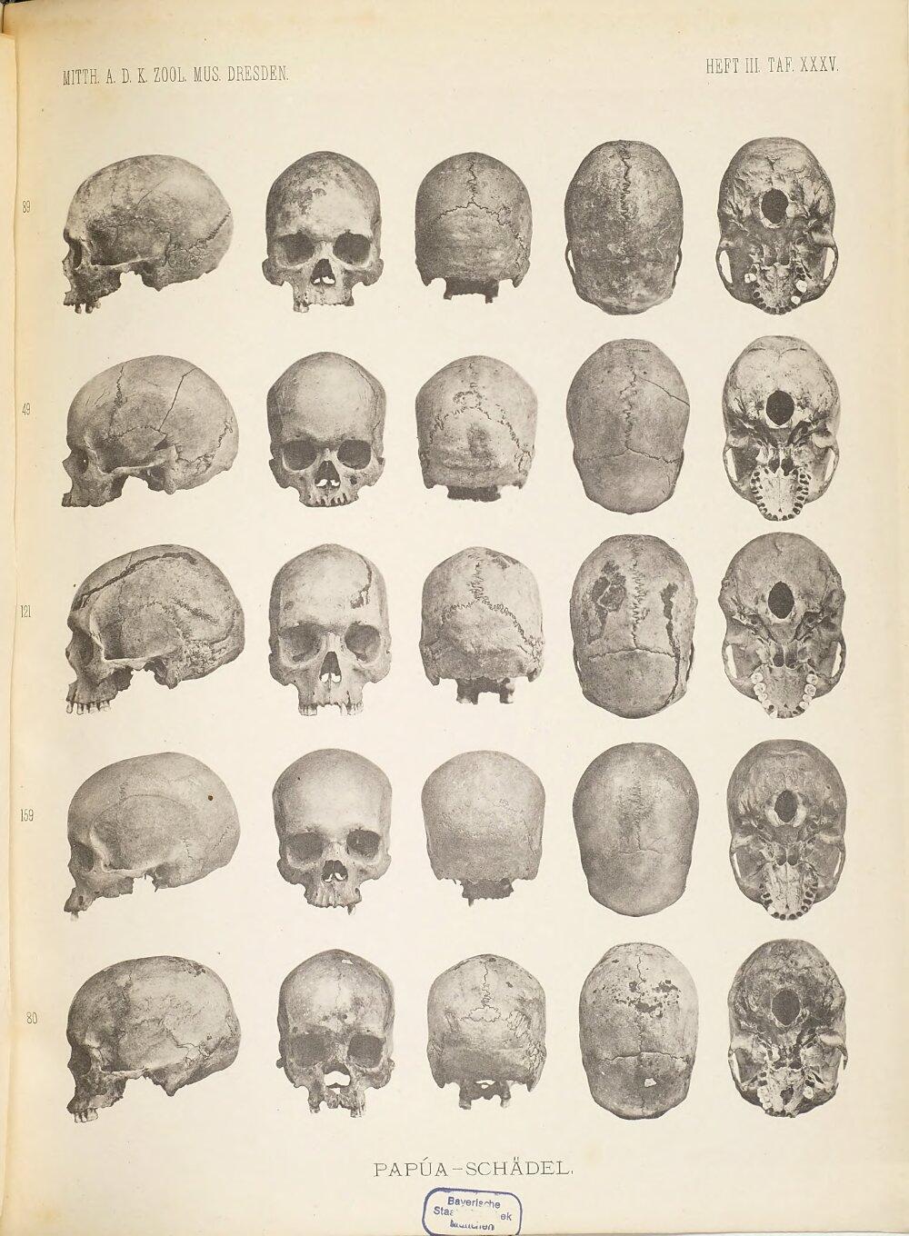 Image 00163