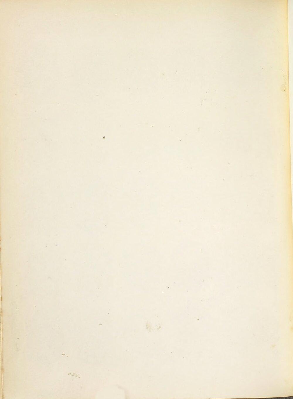 Image 00164