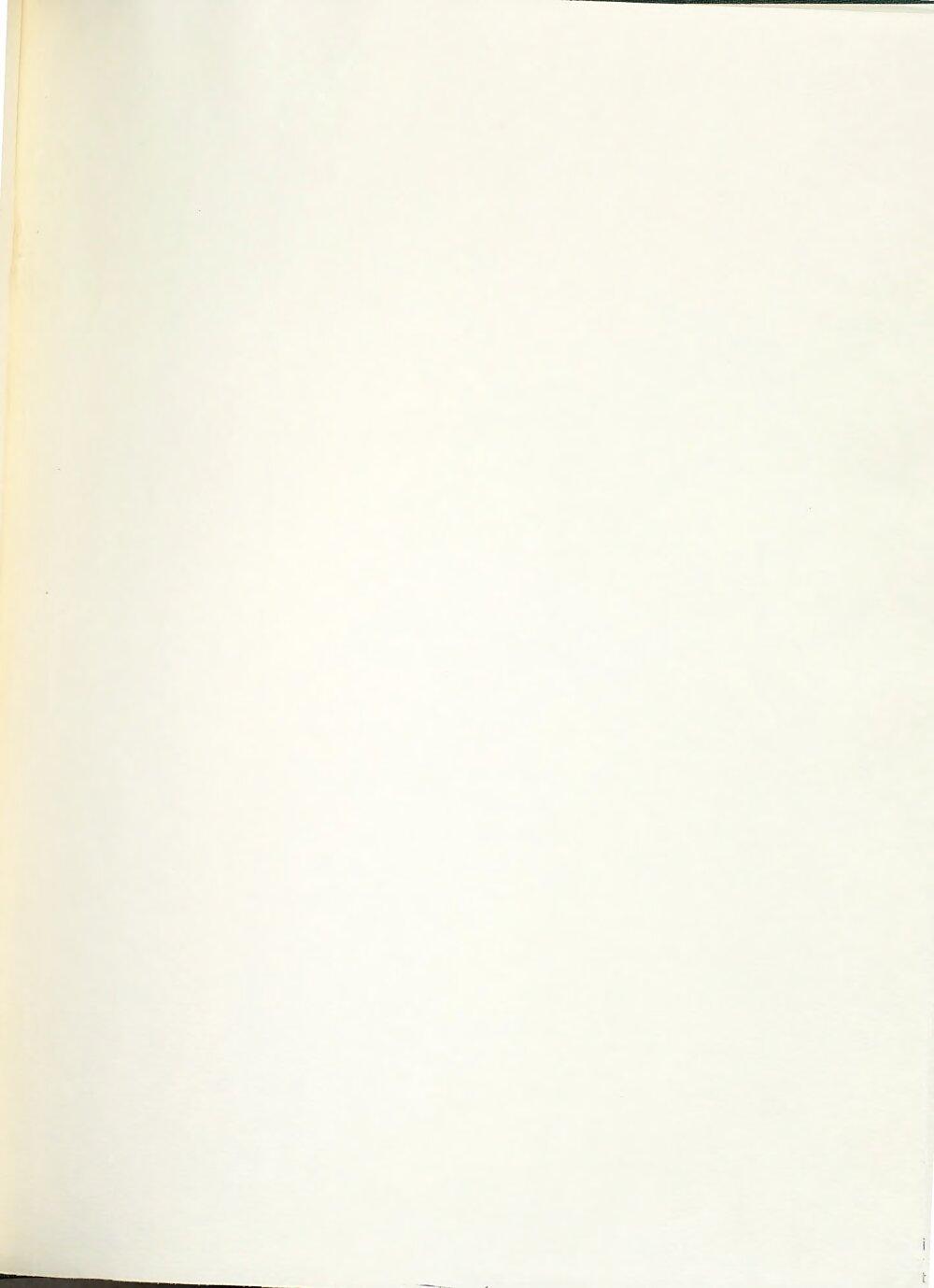 Image 00165