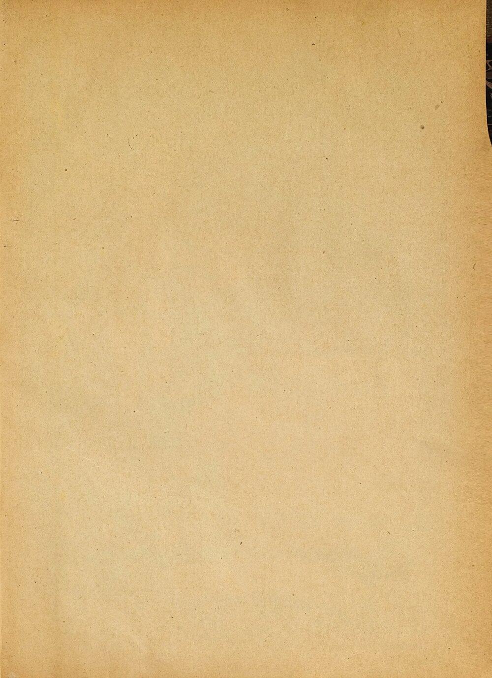 Image 00003