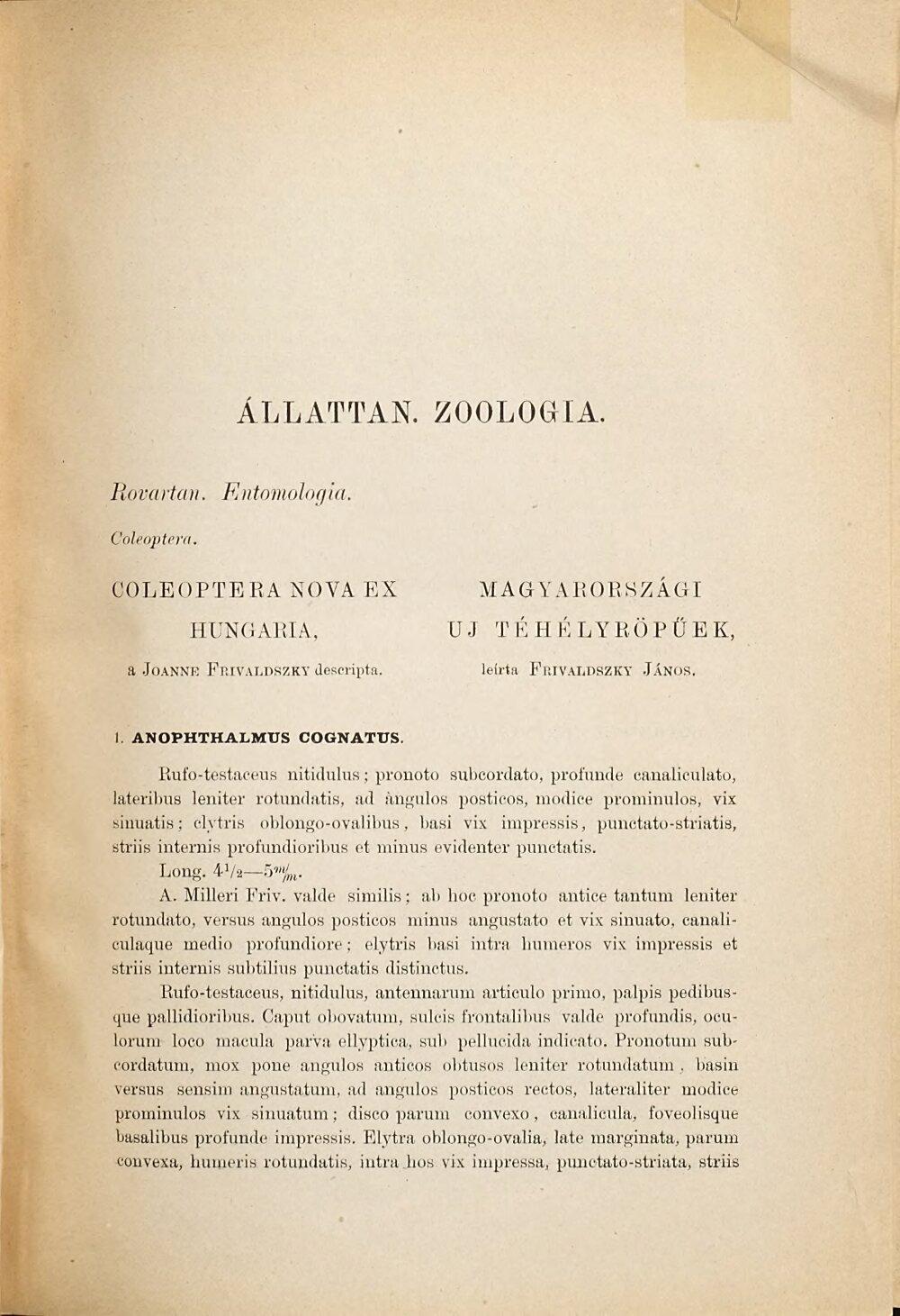 Image 00007