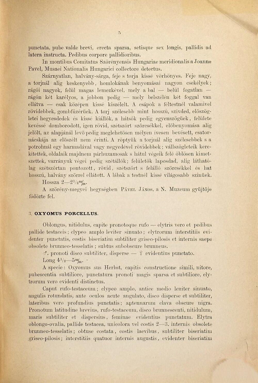 Image 00009
