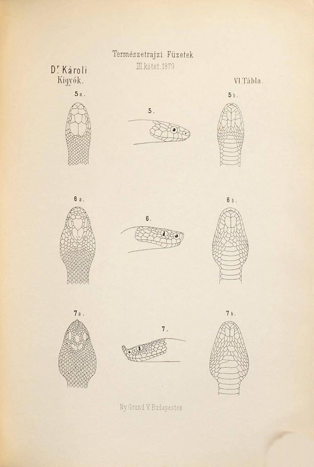 Image 00327