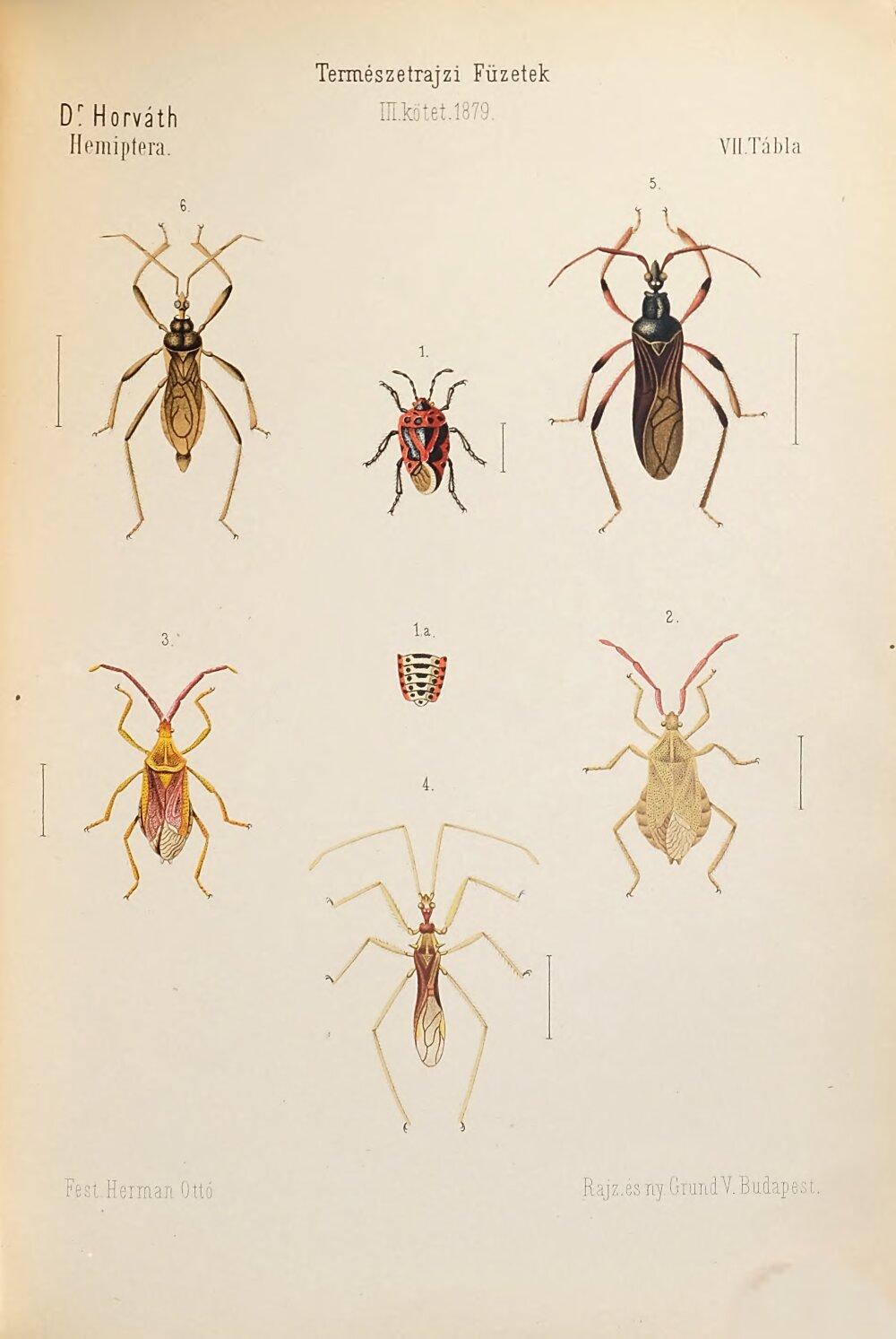 Image 00329
