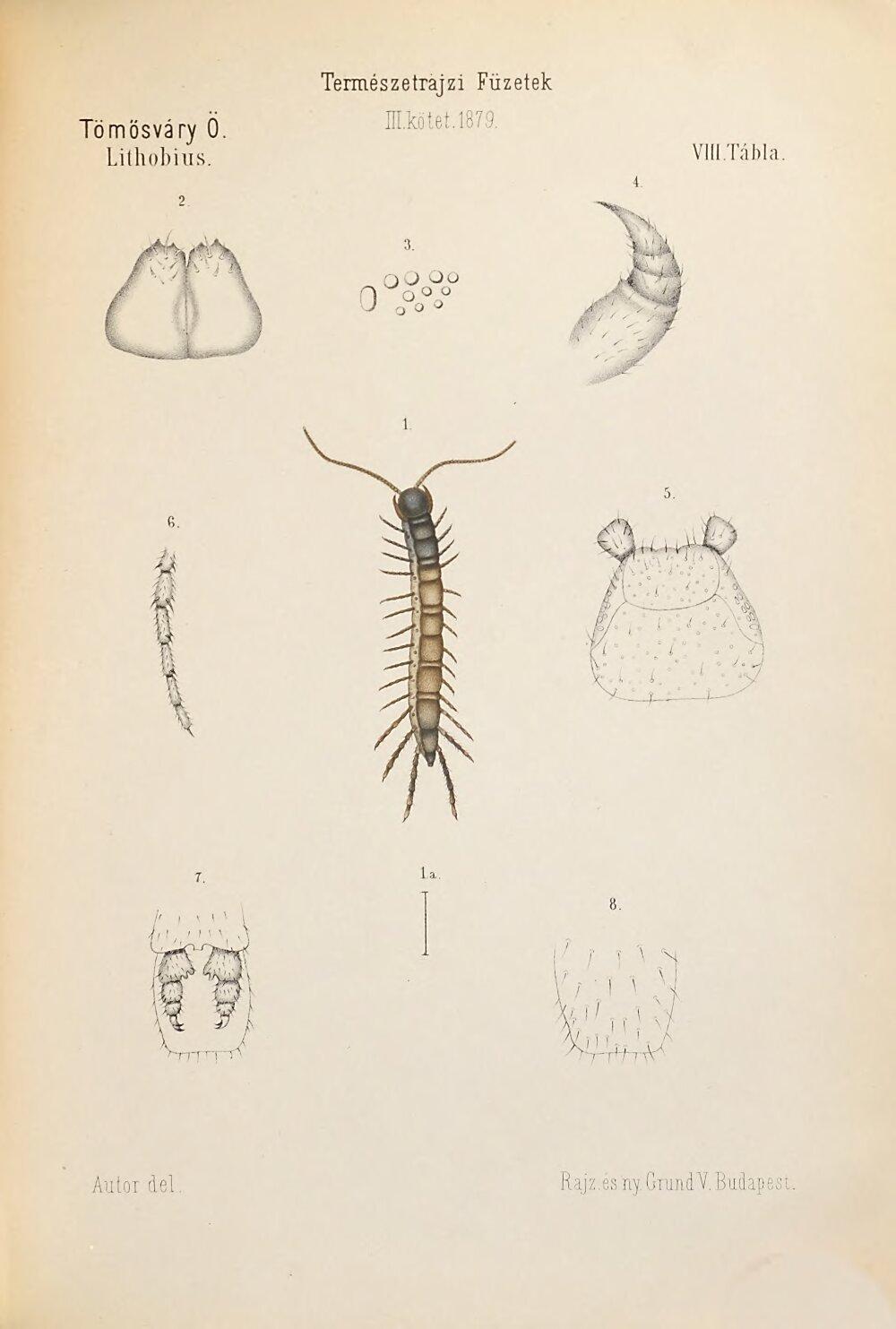 Image 00331