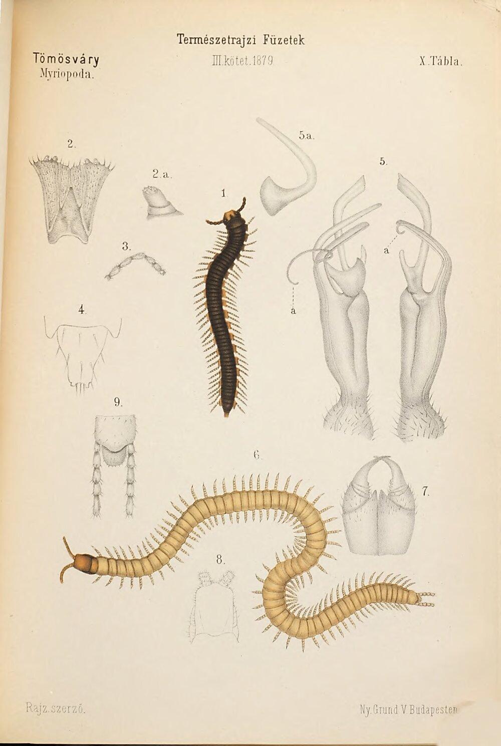 Image 00335