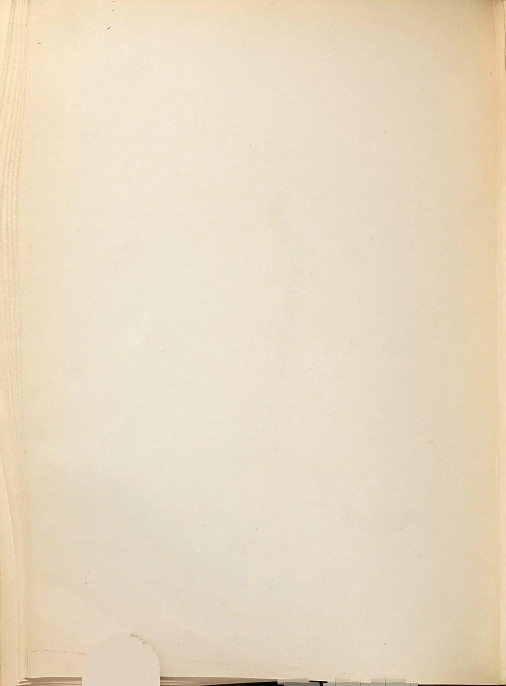 Image 00336