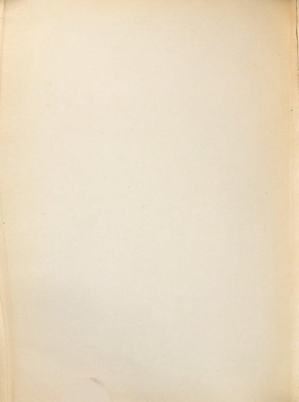 Image 00338