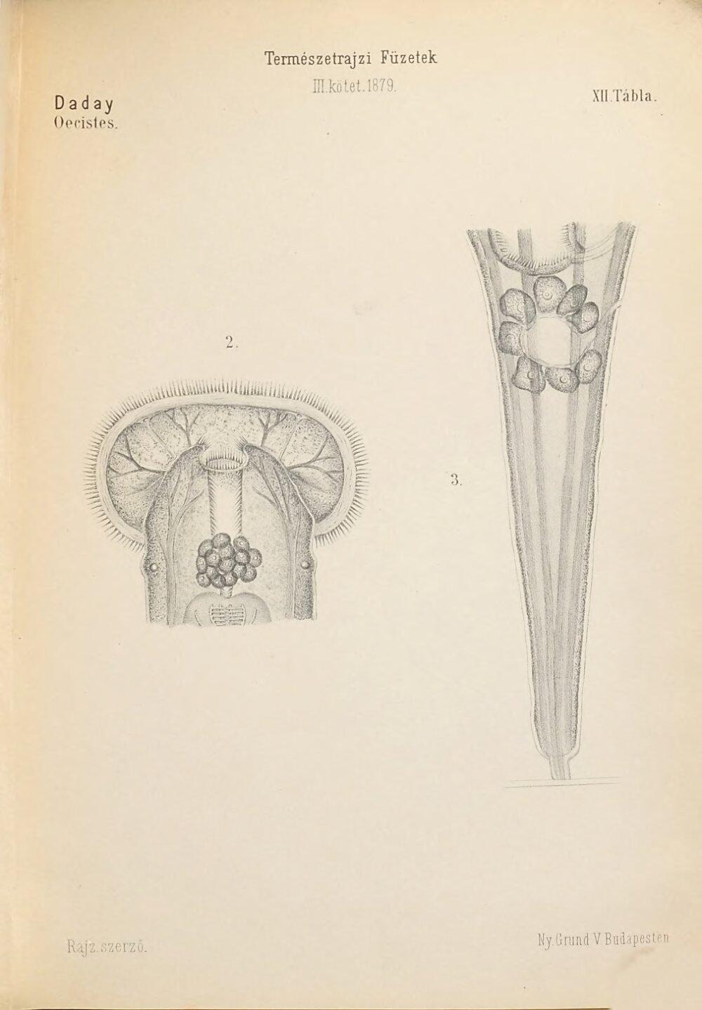 Image 00339