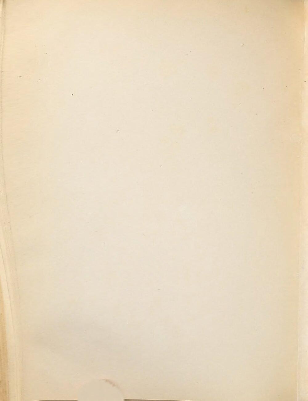 Image 00340