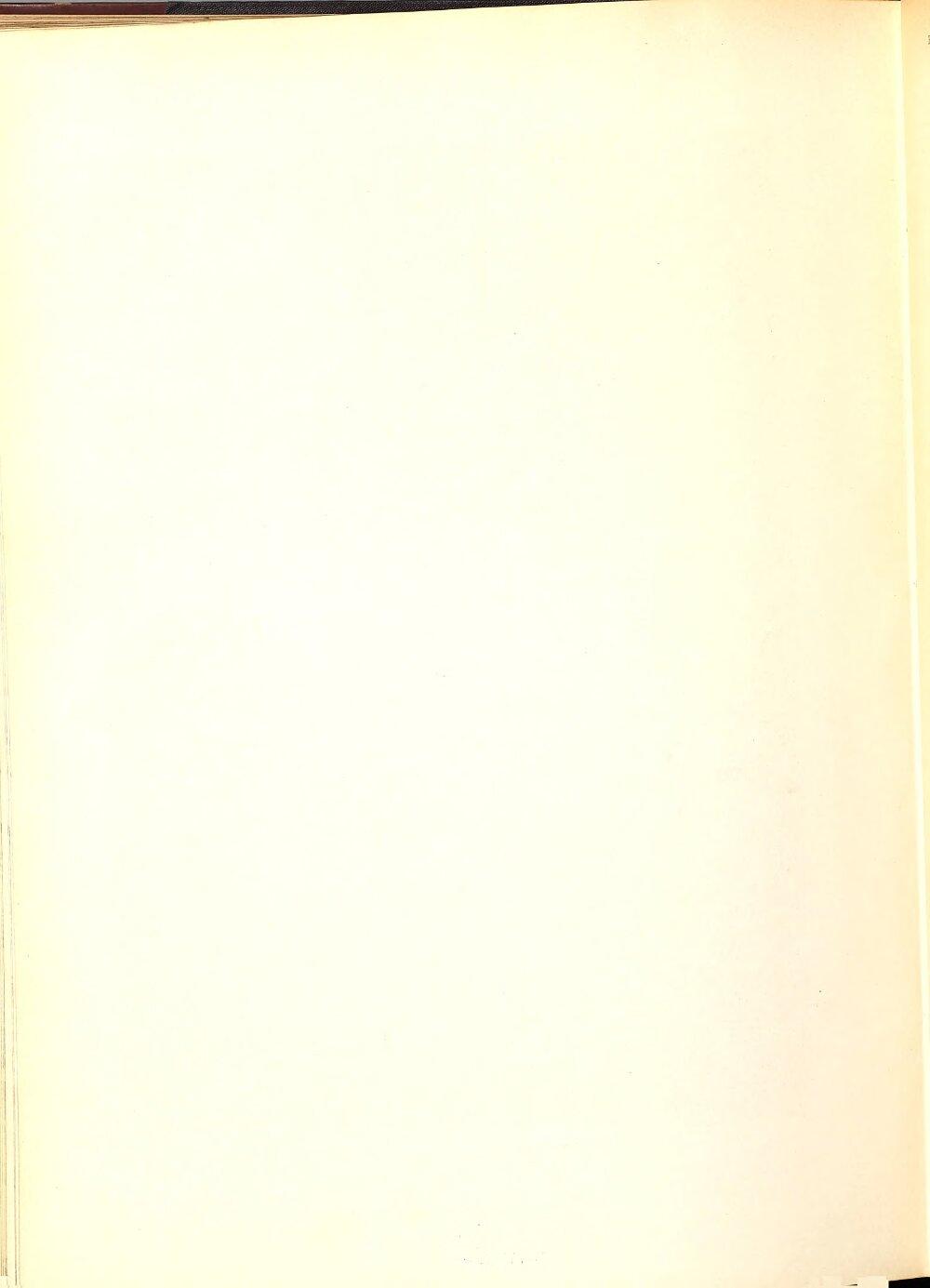 Image 00188
