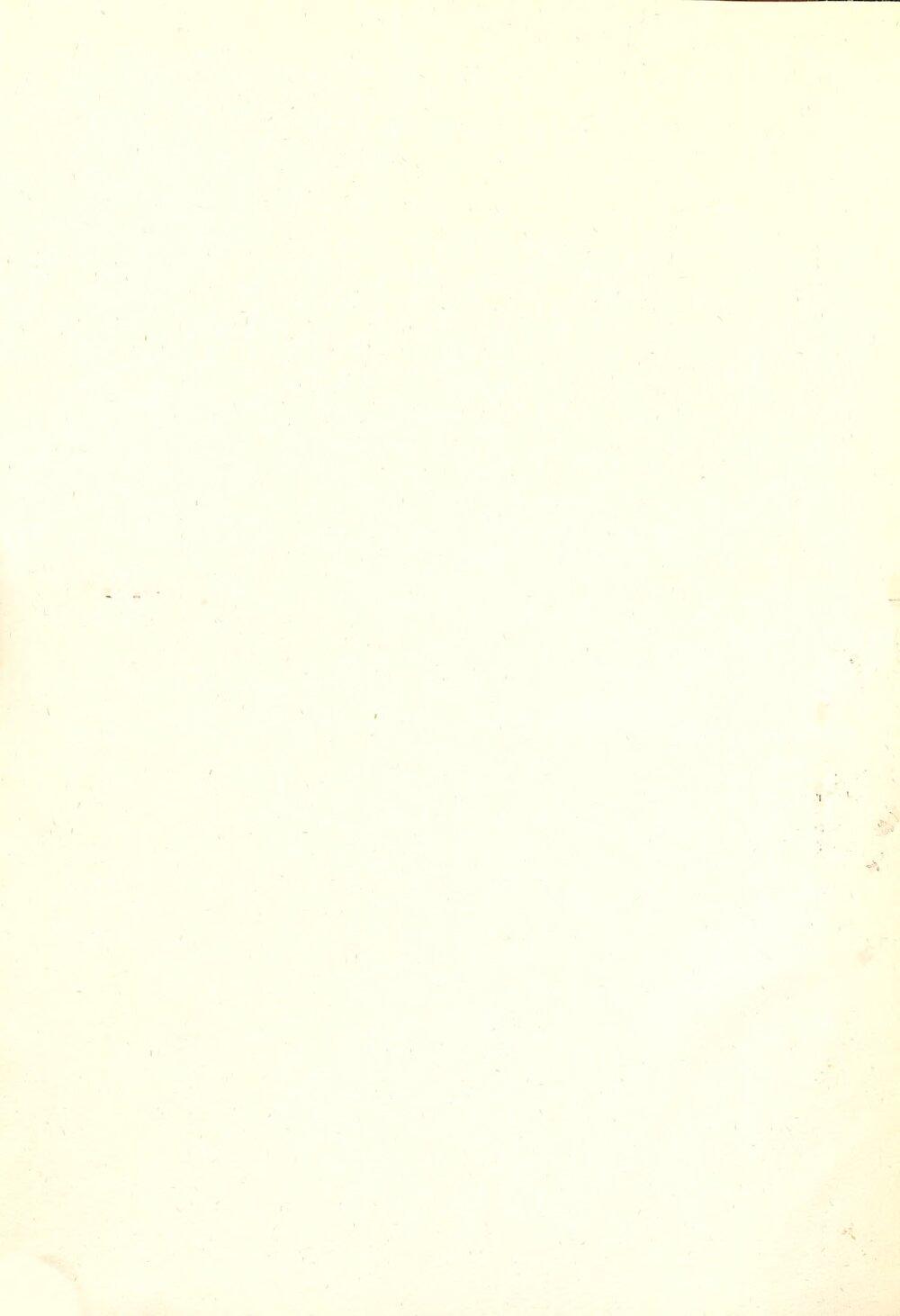 Image 00004
