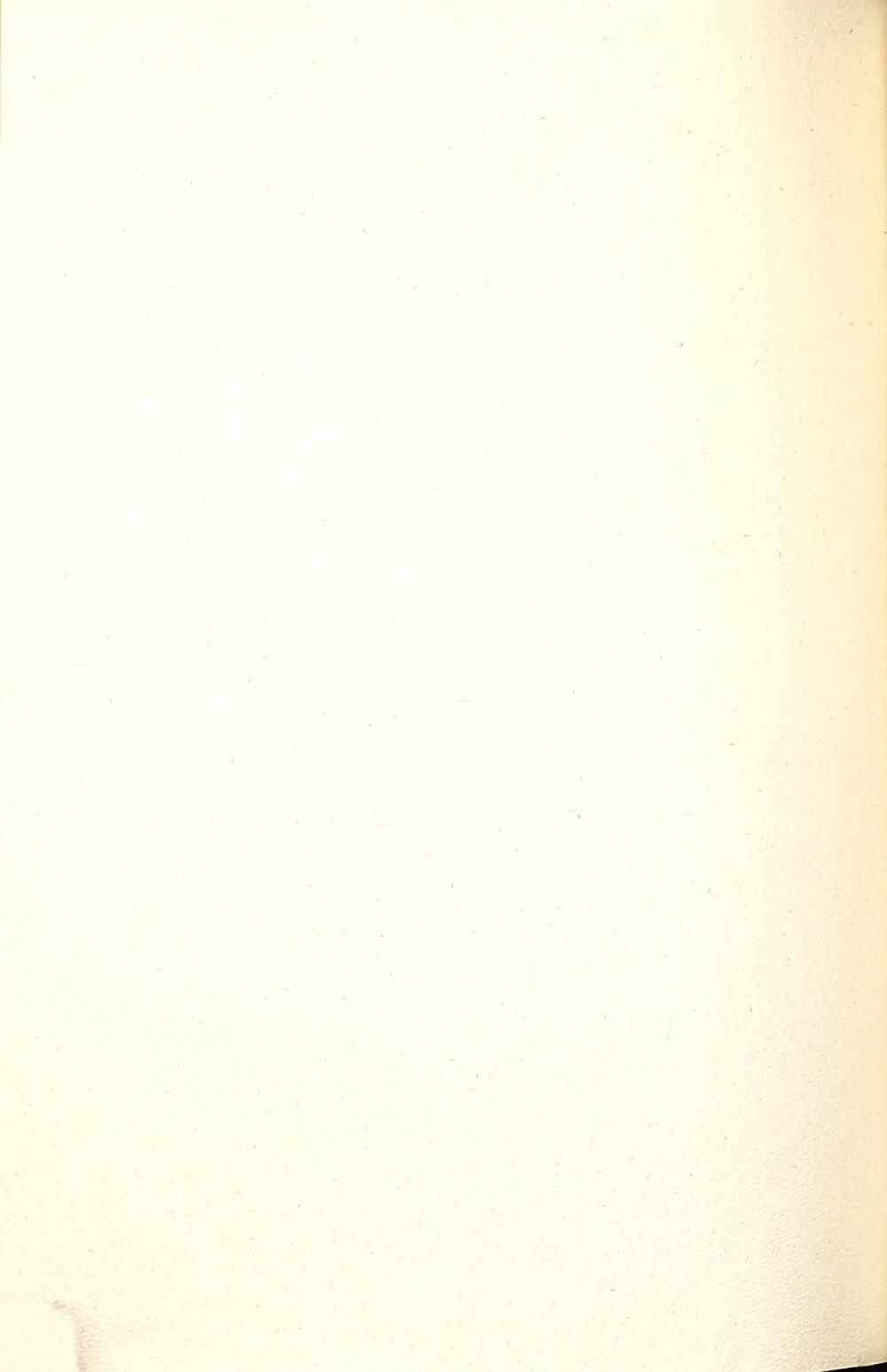 Image 00674