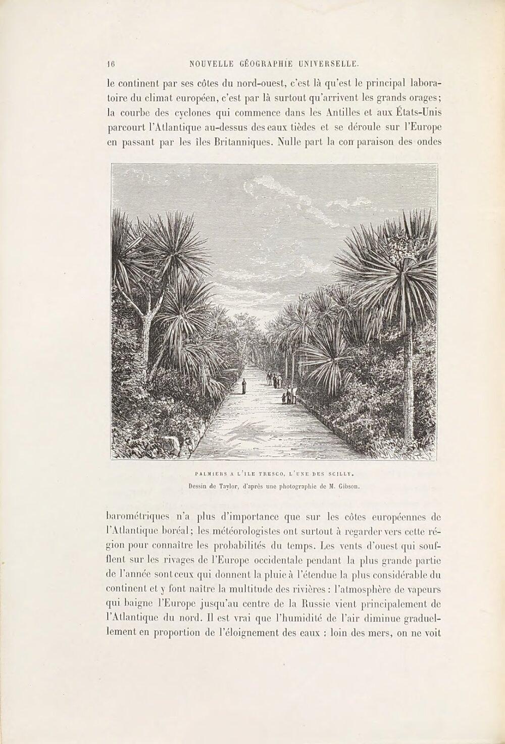 Image 00026