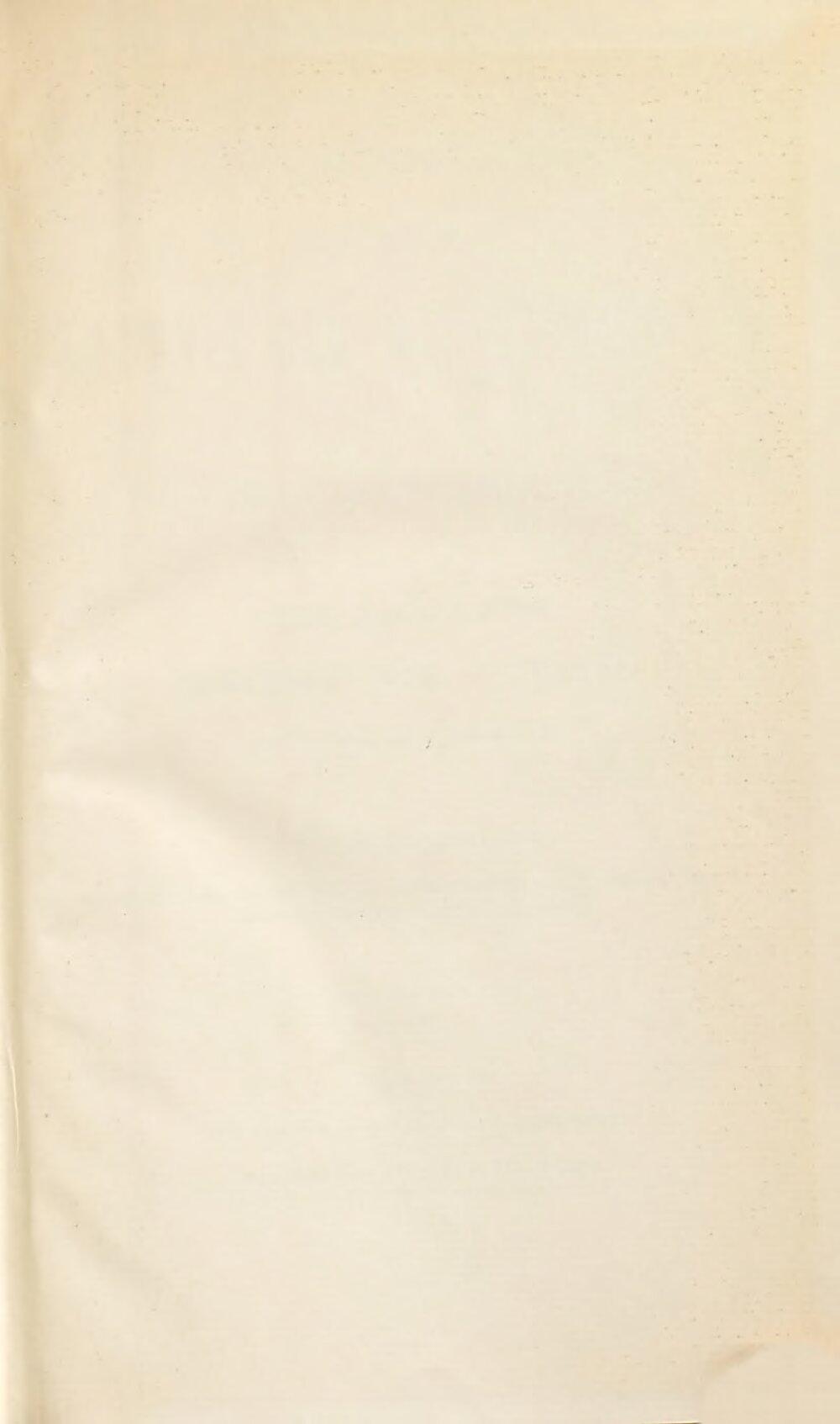 Image 00003