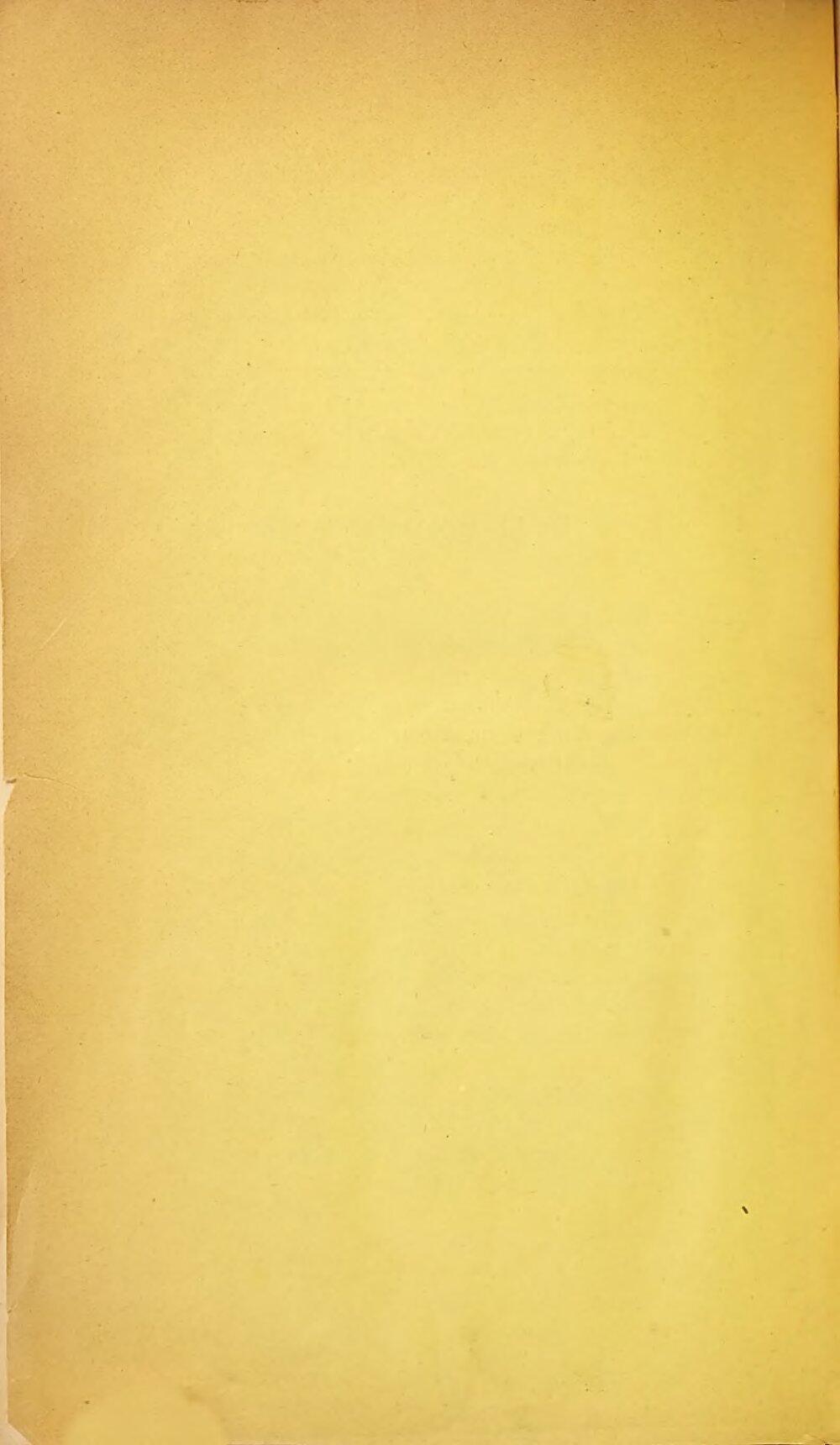 Image 00916