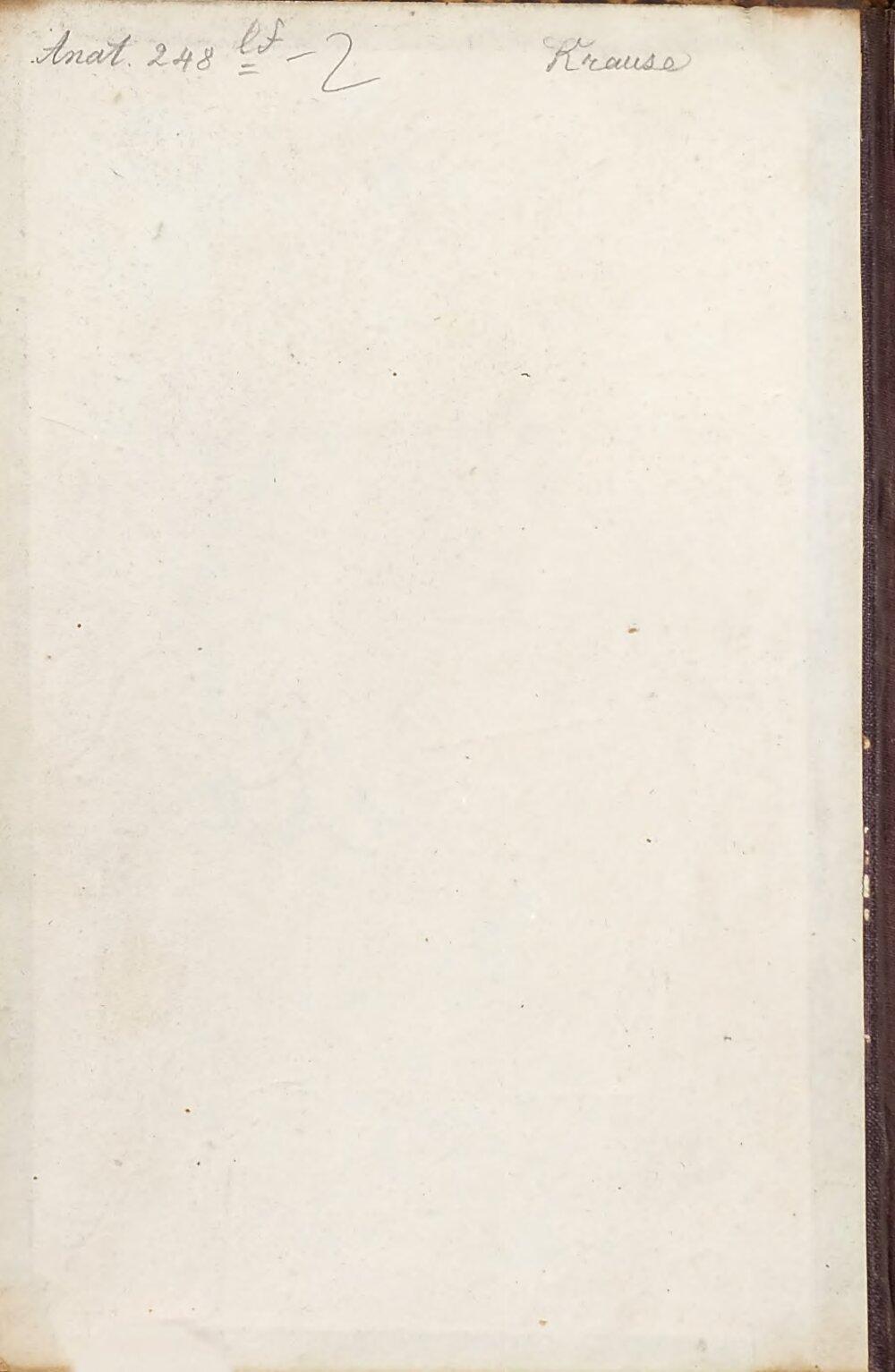 Image 00002