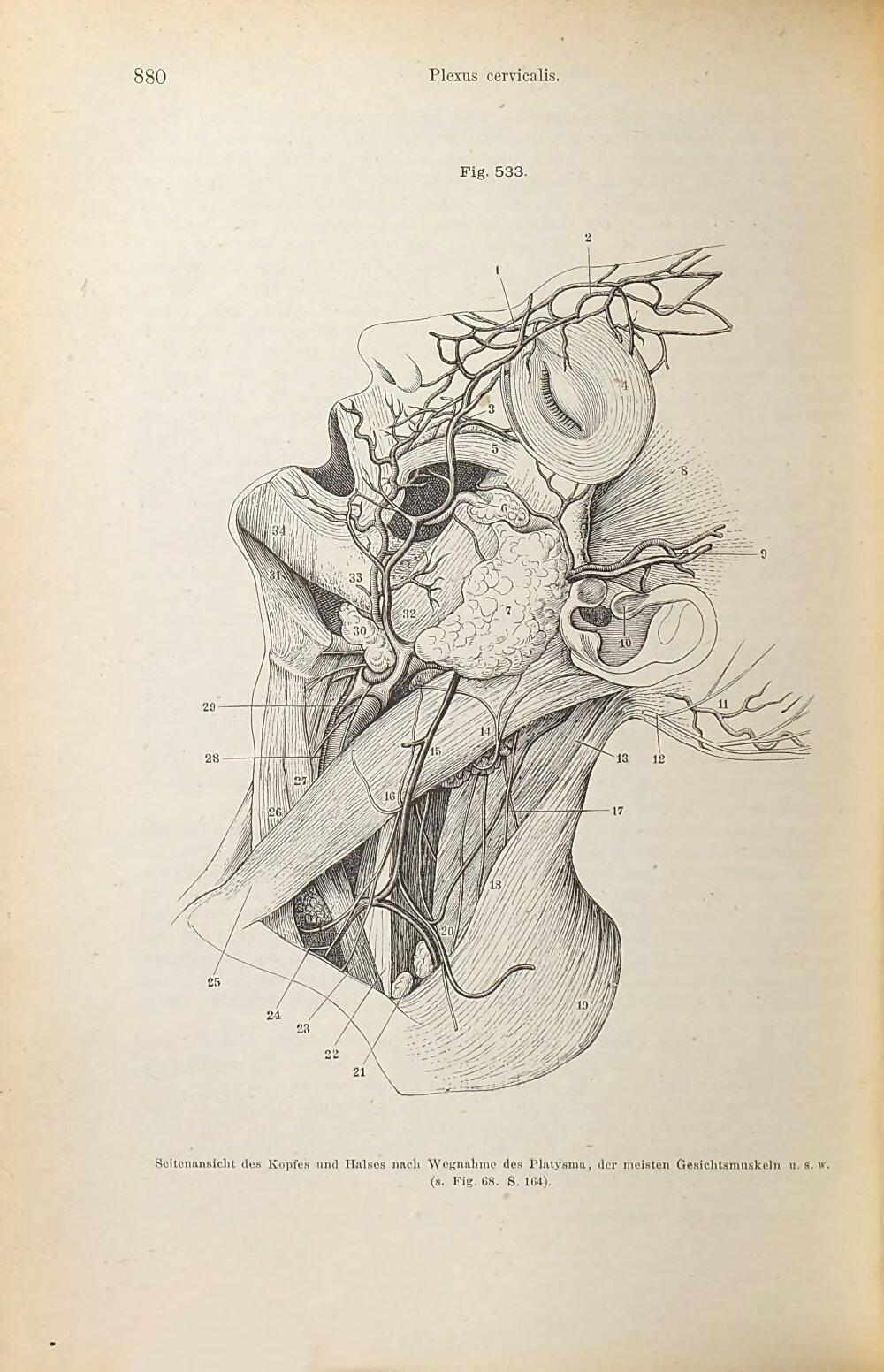 Image 00904