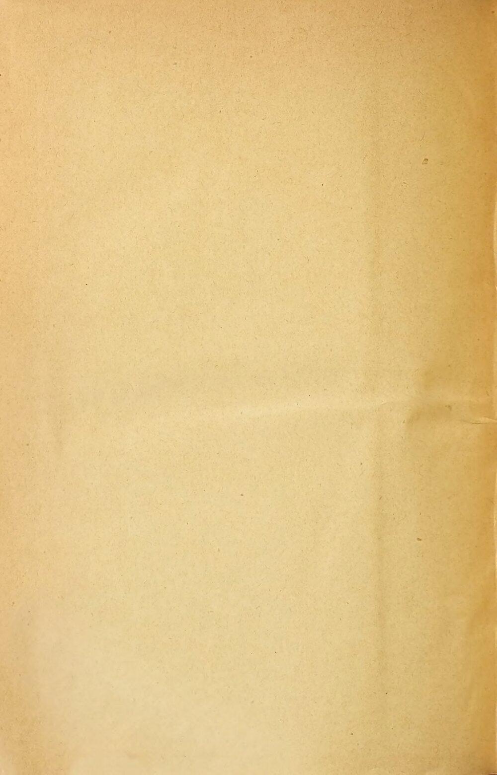 Image 00966