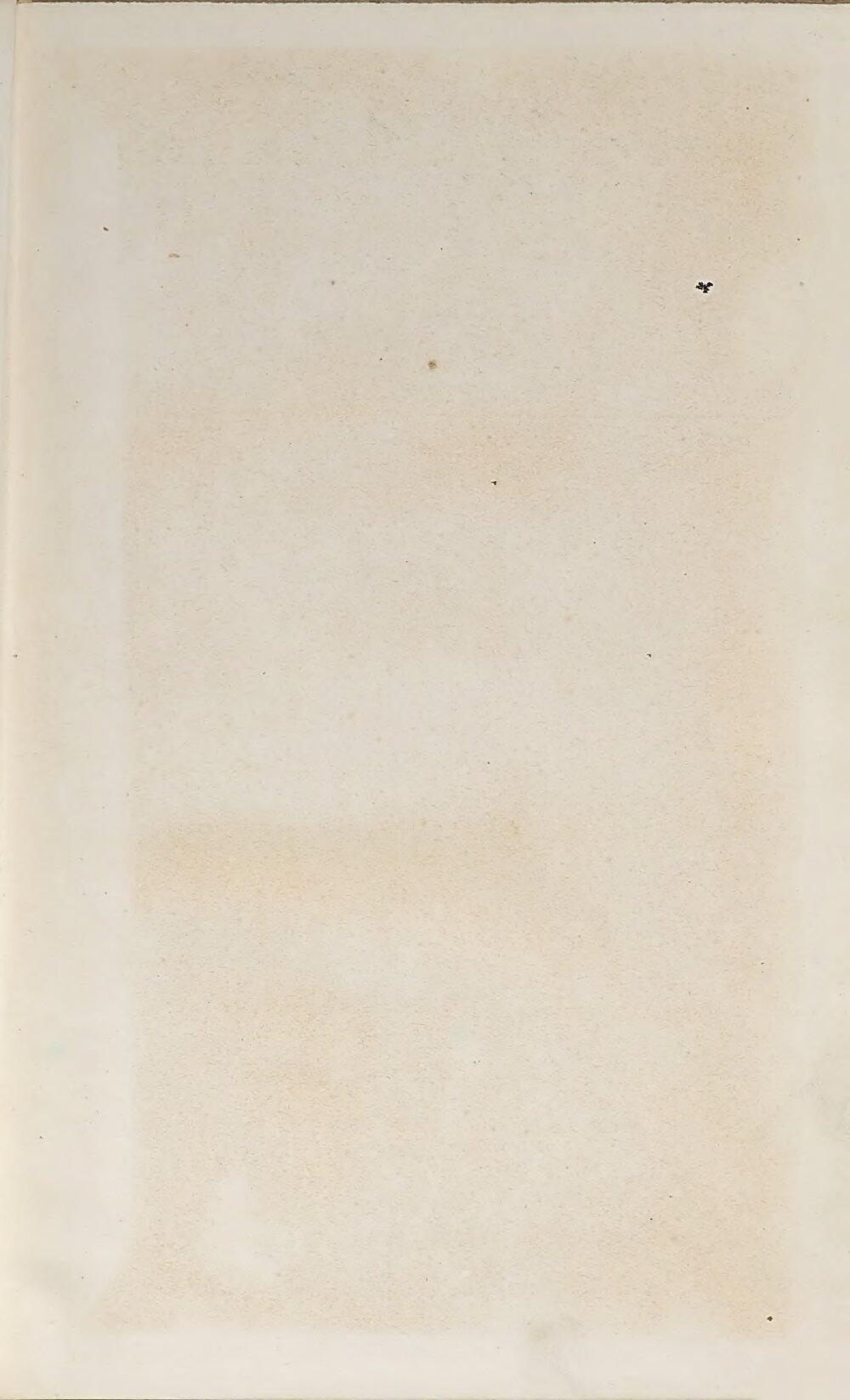Image 00003
